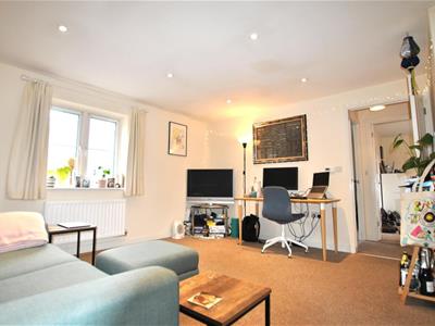 Picture 7